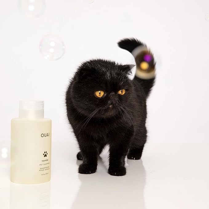 OUAI Fur Bébé Pet Shampoo, Mercer Street Scent - Dog Shampoo and Coat Wash for Hydrating, Cleansing and Adding Shine to Pet Hair - Pet Supplies by OUAI (16 Fl Oz)